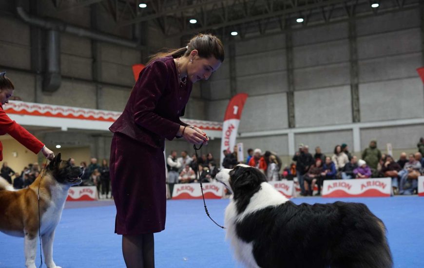 unha muller cun can participan na expo canina do pazo de feiras