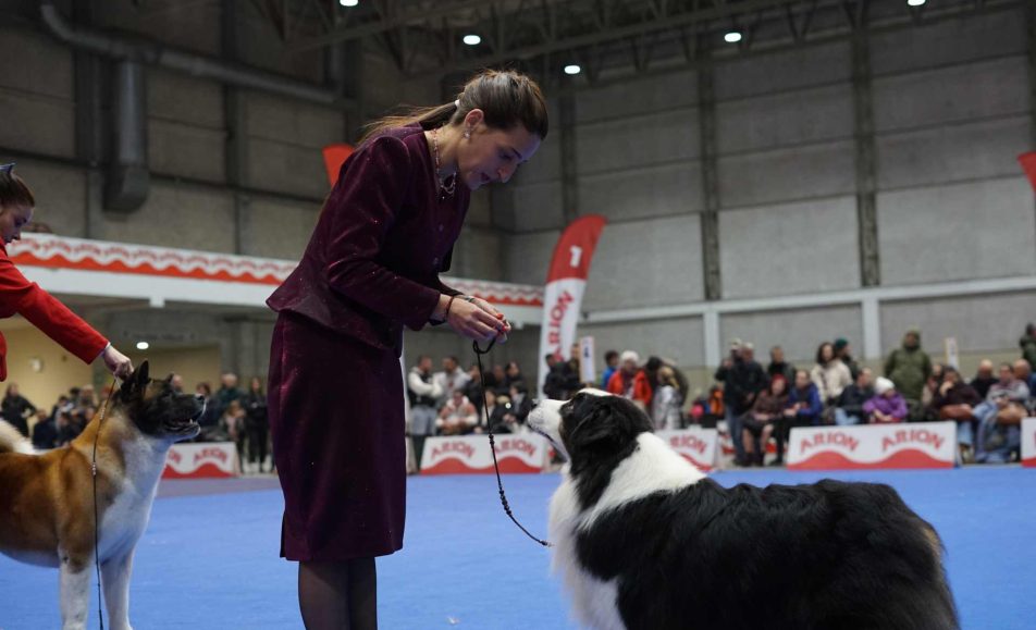 Expocanina maio 2026